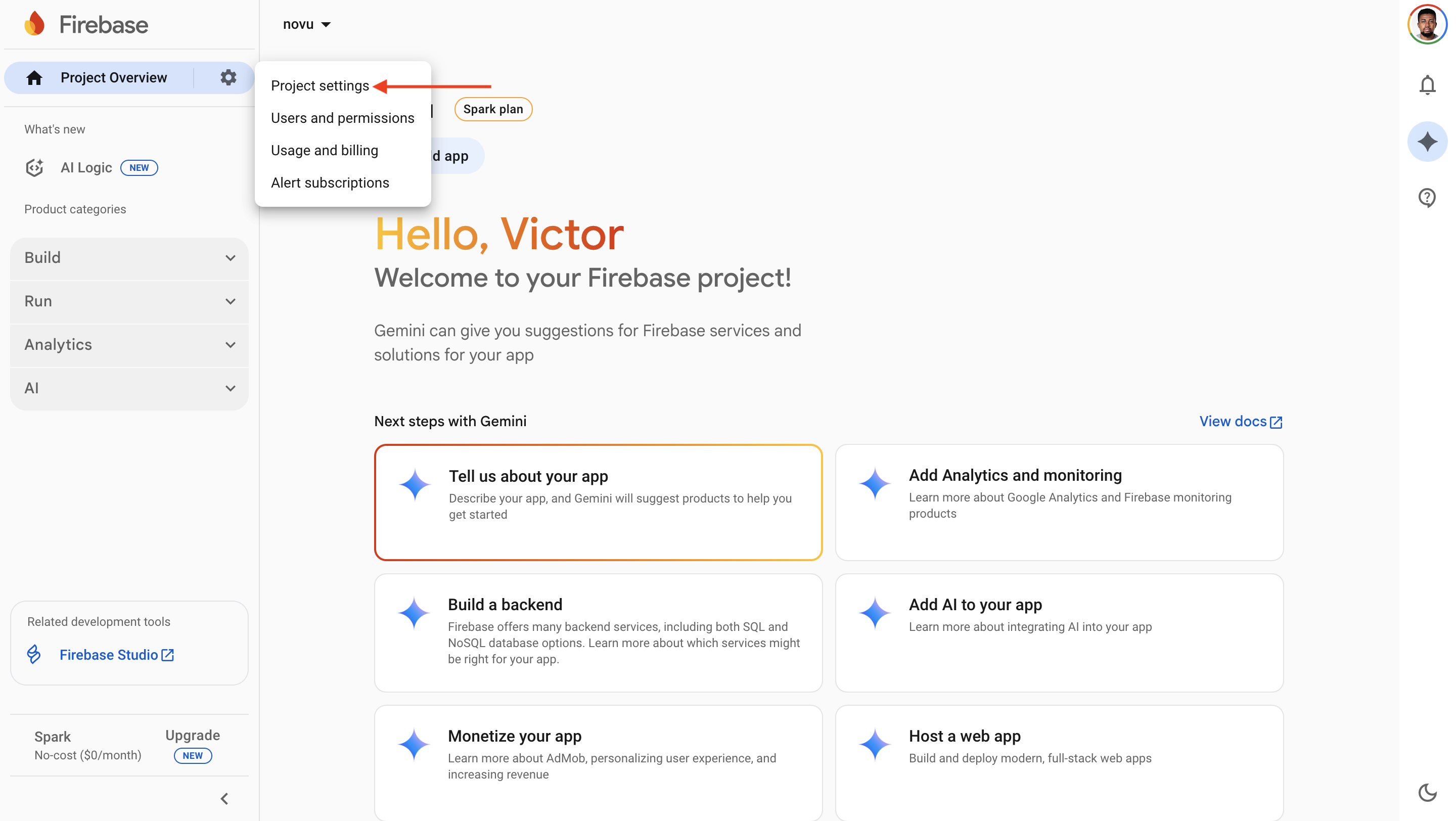 Firebase Project Settings
